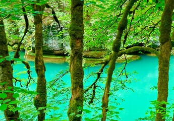 La source de la Loue waterfall in the forest of Jura