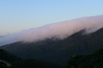 fog in the mountains