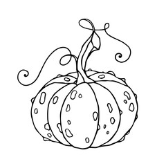 Linear sketch of a pumpkin.Vector graphics.