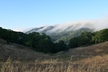Fototapeta premium landscape with fog