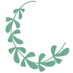 Leaf curled in a semicircle, color corrected