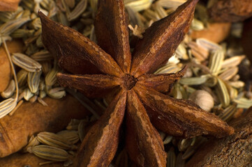 Star Anise