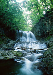 Waterfall in nature