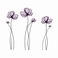 Captivating anemone illustrations in vector format, perfect for stationery design.