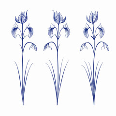 Exquisite outline bluebell illustrations, celebrating the grace and allure of these flowers.