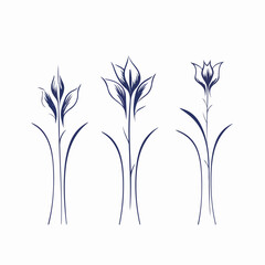 Obraz premium Botanical elegance captured in vector bluebell illustrations with intricate details.
