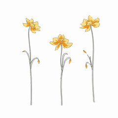 Detailed cowslip illustration in black and white.