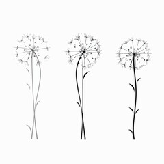 Stunning vector illustration of a dandelion.