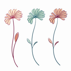 Meticulously crafted gerbera illustration in vector format. - obrazy, fototapety, plakaty