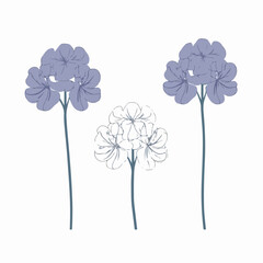 Unique hydrangea illustration with a distinctive style.