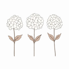 Artistic interpretation of a hydrangea with delicate linework.