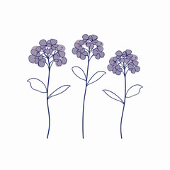 Charming hydrangea illustration in a modern vector style.