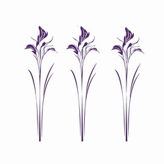 Captivating iris illustration in a modern style.