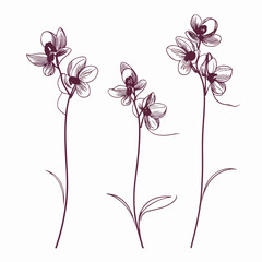 Contemporary orchid illustration with clean vector lines.