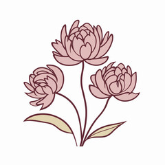 Fine-drawn peony illustration with an artistic touch.