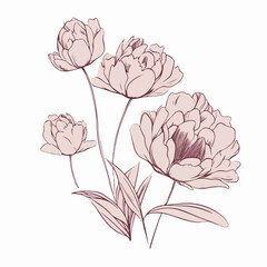 Contemporary peony artwork with clean and precise lines.