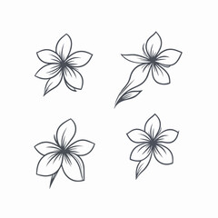 Artistic interpretation of a plumeria with delicate linework.
