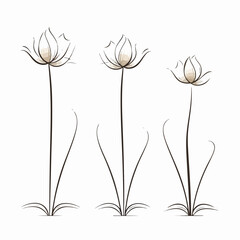 Artistic water lily illustration in an outline style.