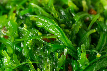 Korean Miyeok Julgi Bokkeum Seaweed Side