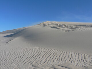 Fototapeta na wymiar Sand dunes (windswept) at Atlantis, Cape Town, South Africa