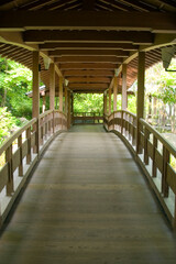 a gracefully curved Japanese wooden bridge