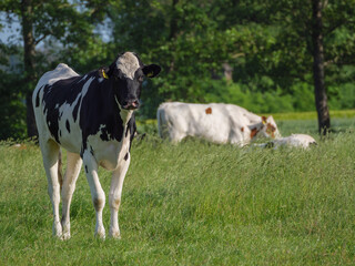 Weseke im westliche Münsterland