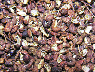 Background of peppercorns