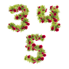 3D illustration of Peony flowers alphabet  - digits 3-5