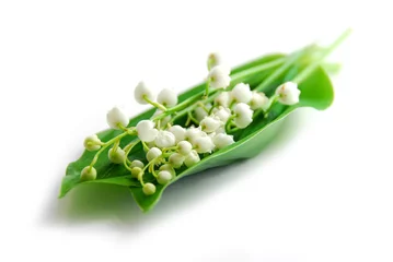 Foto op Canvas Lily-of-the-valley on white background © Designpics