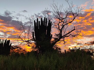rancho en sinaloa