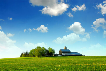 Fototapeta premium Farmhouse and barn among green fields