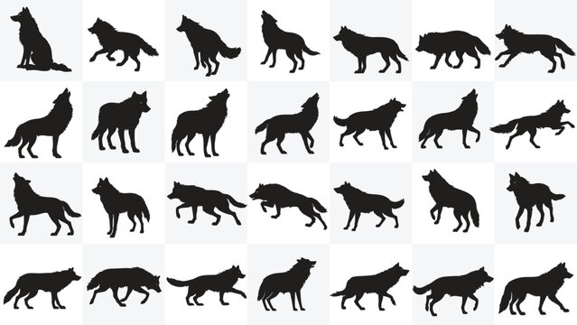 Wolf Silhouettes Collection, Highly Detailed Lion Silhouettes Stock Illustration, set vector