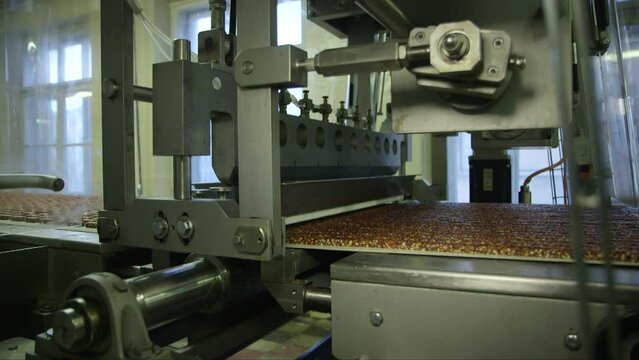 static medium shot of divided mass of candy filling on a conveyor line going through cutting machine