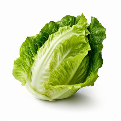 Fototapeta premium a lettuce on white background