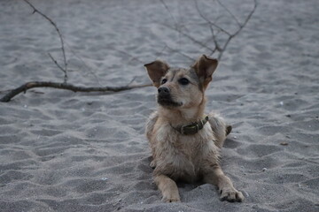 First time on the beach