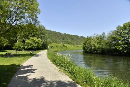 Chemin de halage le long de la Sambre dans un paysage bucolique &agrave; Landelies (Montigny-le-Tilleul)