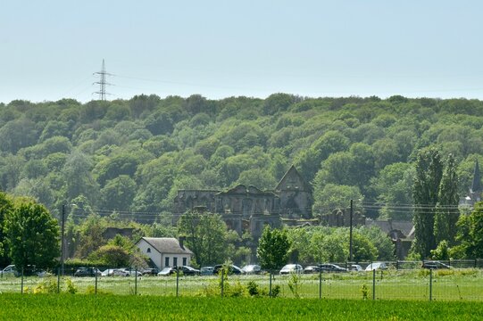 Colline bois&eacute;e au printemps &agrave; Thuin (Hainaut)