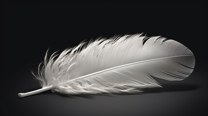 Feather of a bird on a black background. generative ai