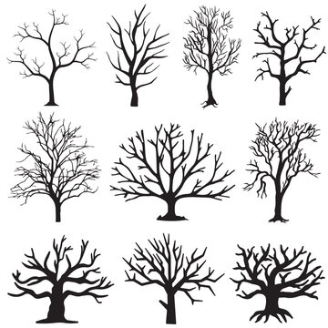 Winter set dry tree without leaves—silhouette Vector illustration.