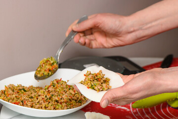 cooking traditional chinese transparent dumplings in the kitchen 25