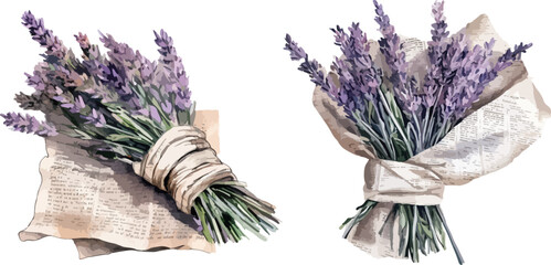 Bouquet of lavender clipart, isolated vector illustration. © NightCreativity