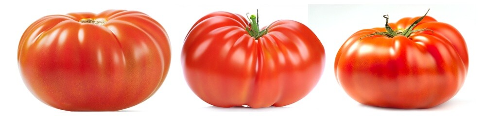 Fresh tomato vegetable isolated on white background