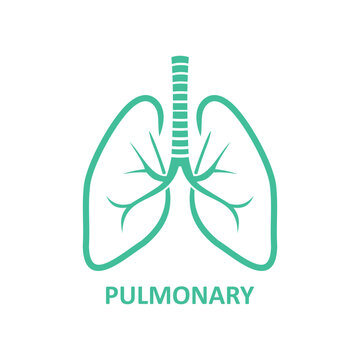 human lung simple vector icon isolated on white background