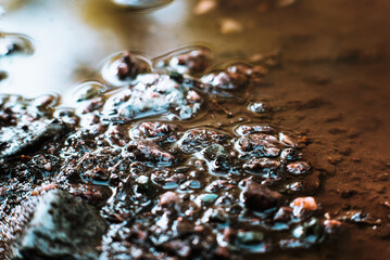 Texture of small stones in a puddle of water, natural sunlight, old ruined asphalt. The background...
