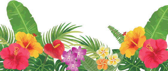 トロピカルな南国の花と植物のフレームイラスト　手描き水彩 © fuwari