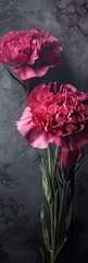Carnations Essence Background: Edgy Steel with Onyx Intrigue - Unveiling the Alluring Fusion of Boldness and Mystery Backdrop - Carnations Wallpaper created with Generative AI Technology