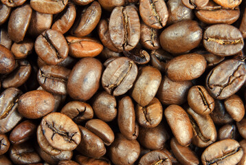 extreme close-up view of coffee beans