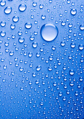 Water is the most important element for all lives on the Earth.