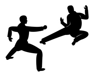 an  images  of    martial arts
