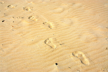 Fototapeta na wymiar Background of yellow sand surface with footprints